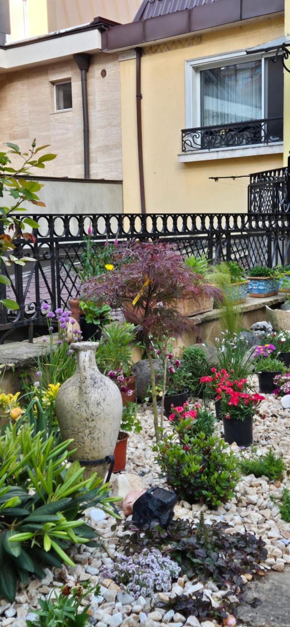 Luxury Private House In City Center Wielkie Tyrnowo Pokój zdjęcie